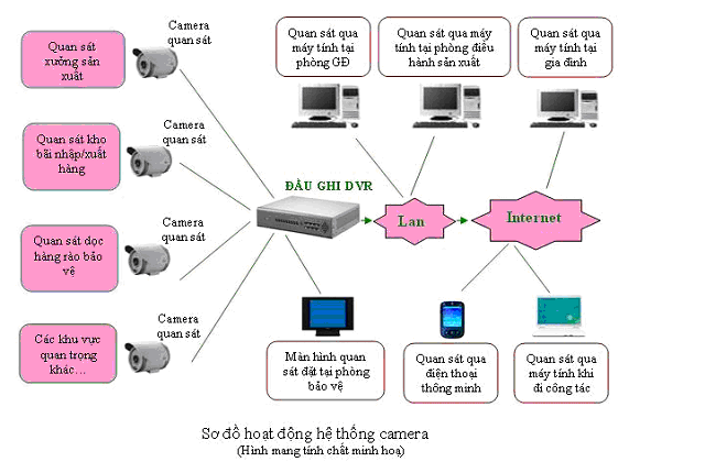 so do camera nen cap quang 1